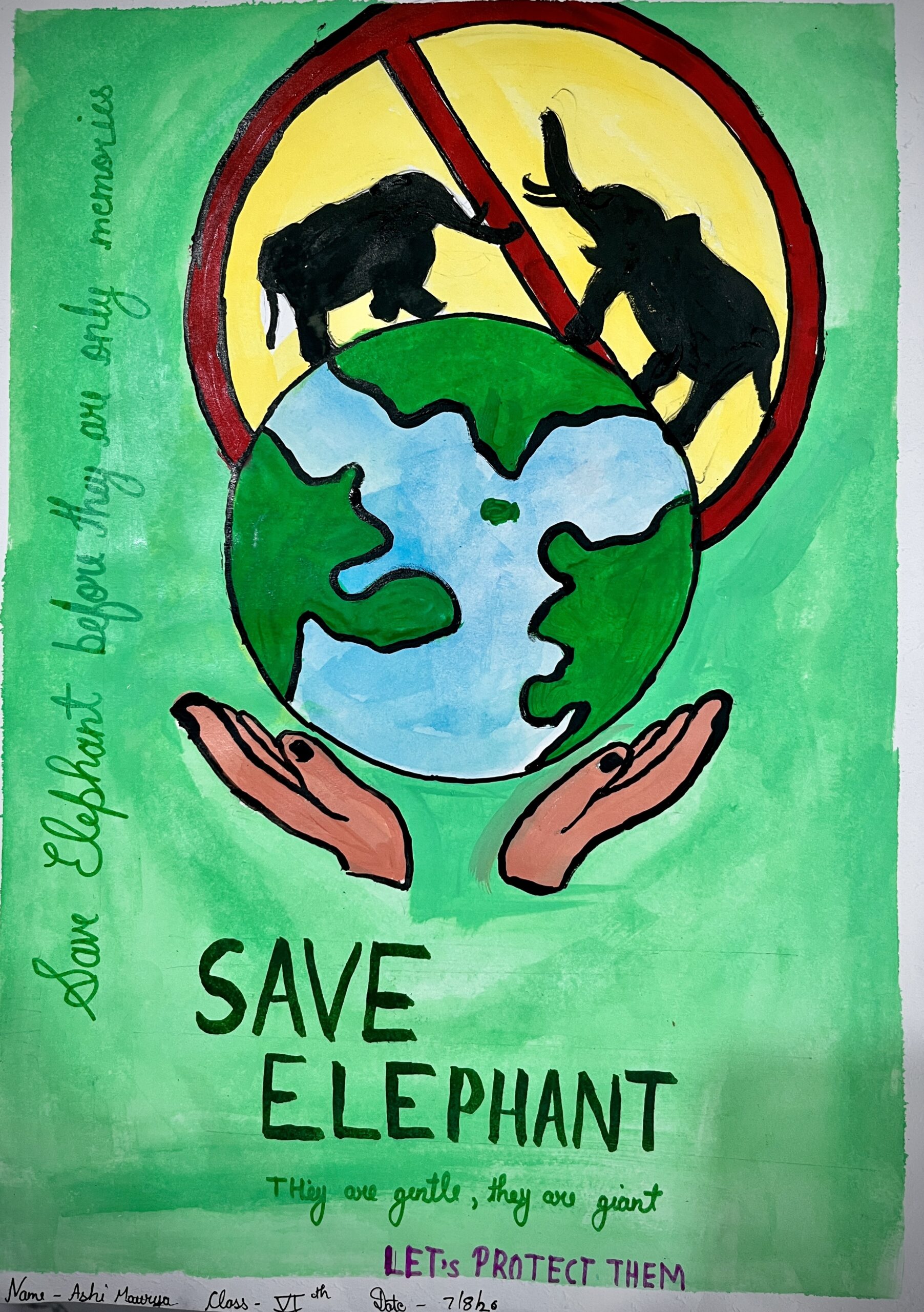 Elephant Conservation 🌿🐘 8