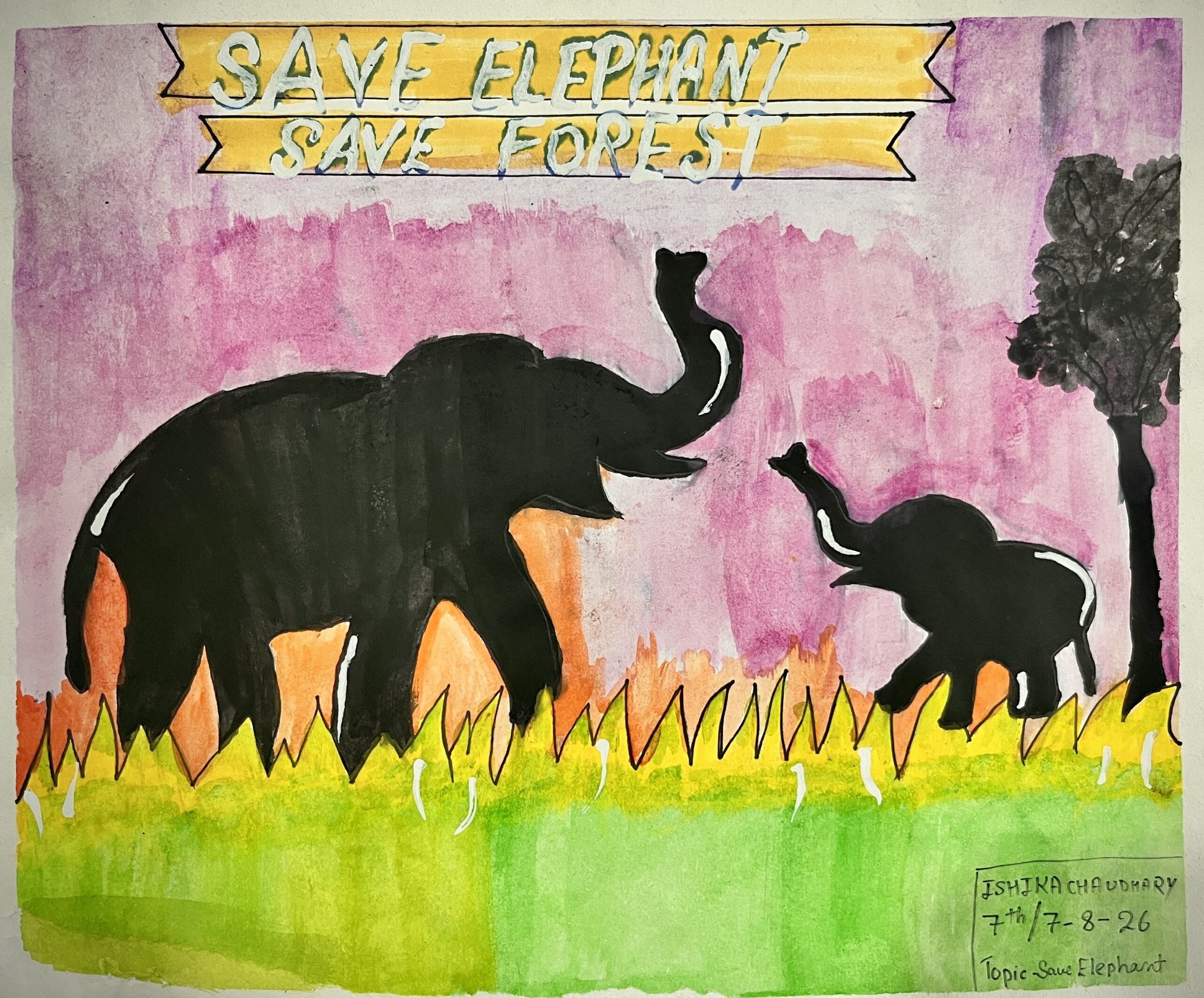Elephant Conservation 🌿🐘 9