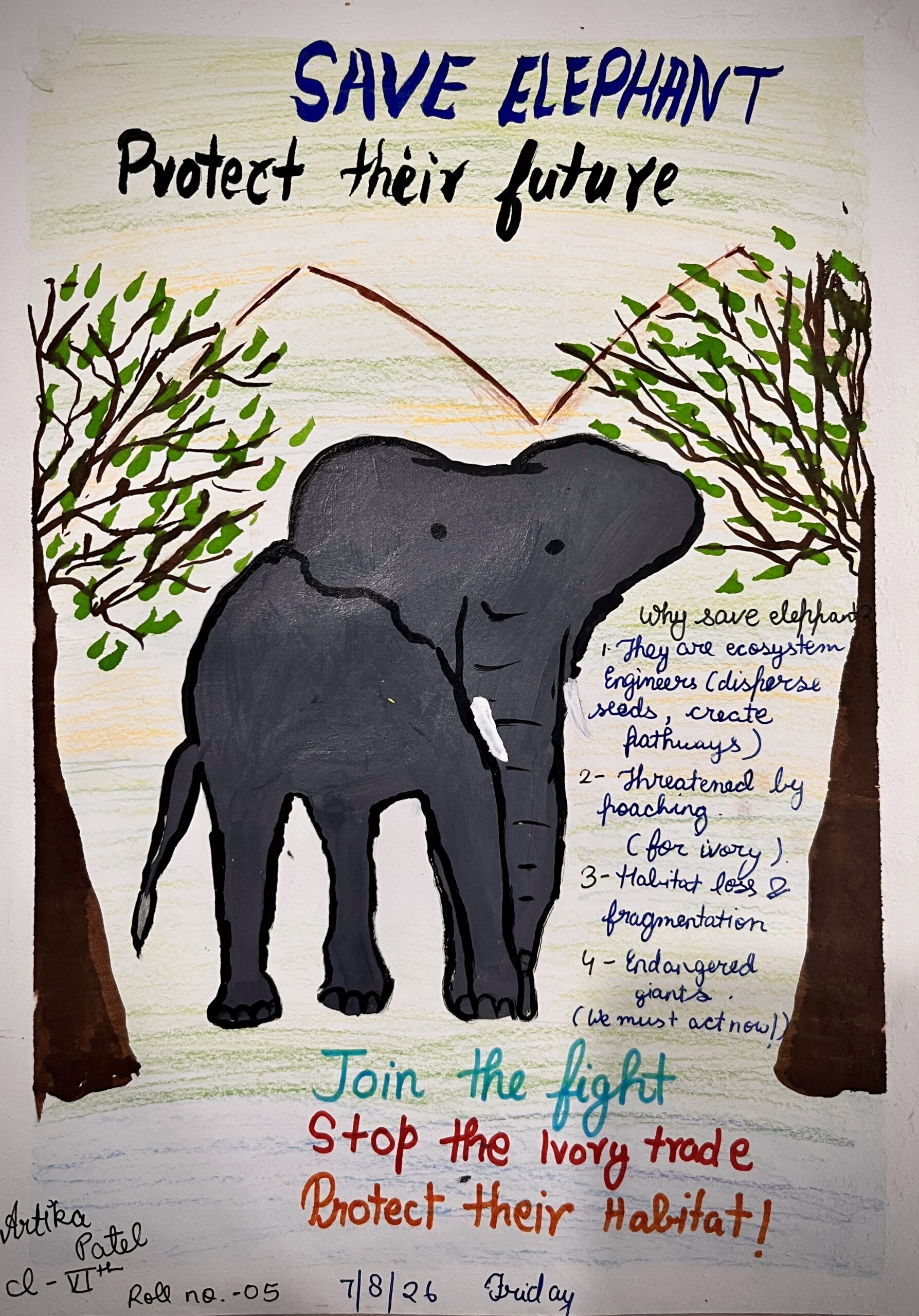 Elephant Conservation 🌿🐘 10